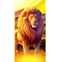Lion
Safari